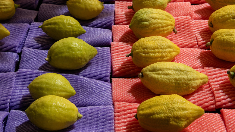 etrogs at a market in Jerusalem