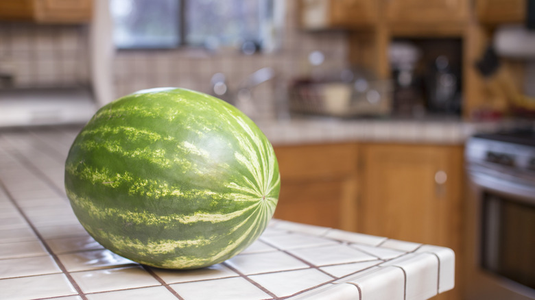 whole watermelon on kitchen counter