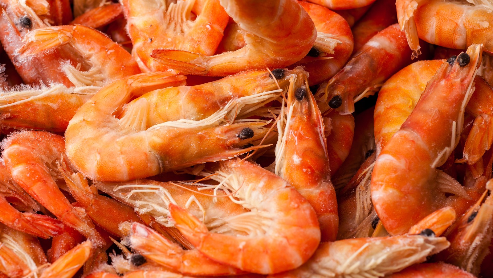 how-many-shrimp-per-person-should-you-serve-at-a-dinner-party