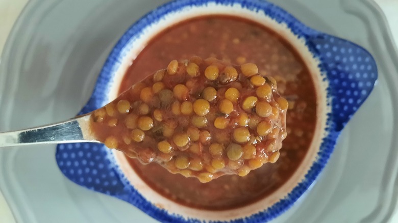 Spoonful of brown lentil soup over blue bowl