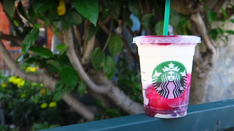 A plain and mixed berry flavor sorbetto in Starbucks tall cup