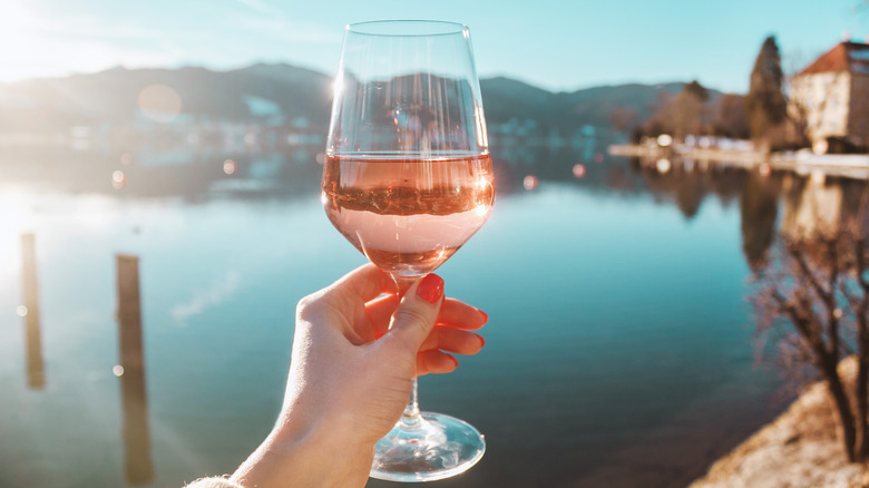 Person holding glass of wine in front of Bavarian landscape