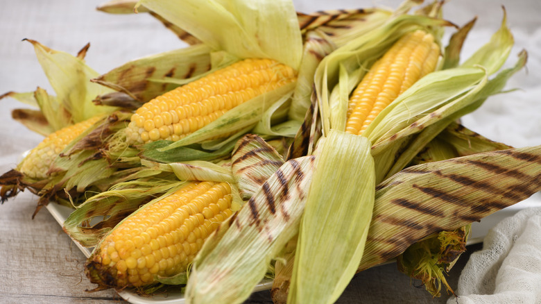 Grilled corn in husk 