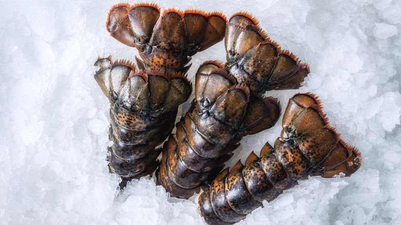 lobster tails on ice