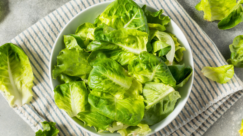 A bowl of cut and washed butter lettuce sits on a blue and white striped dish towel