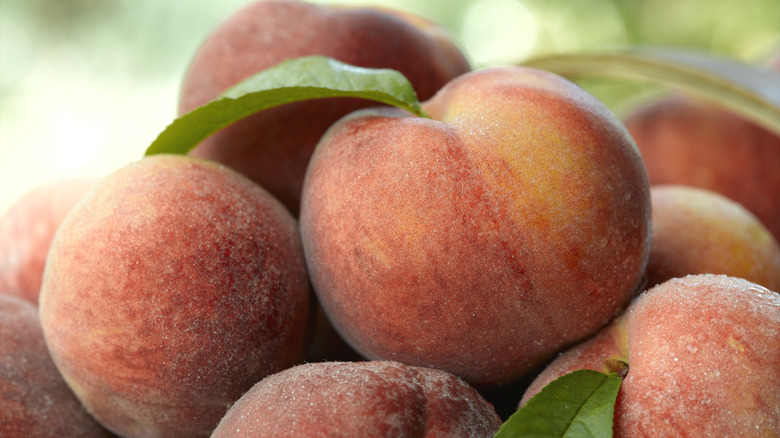 A pile of peaches 
