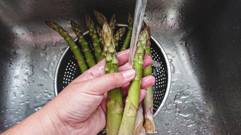 Person holding asparagus under tap water