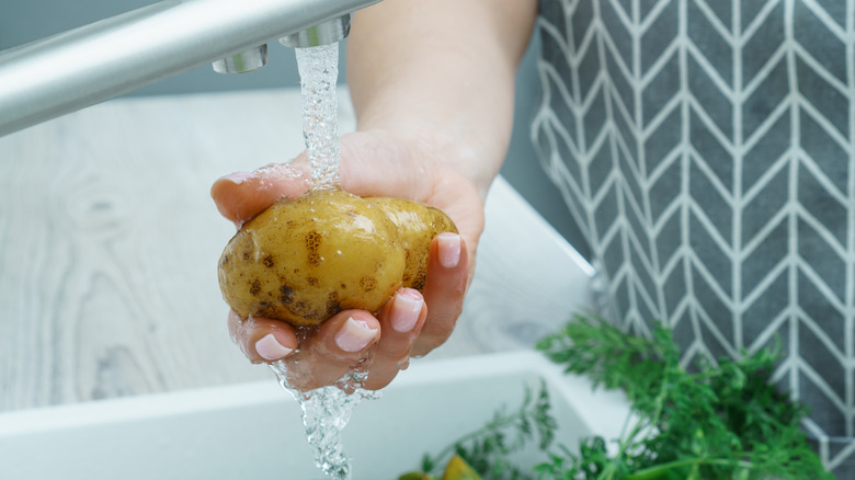 Woman washing potatoes in running water