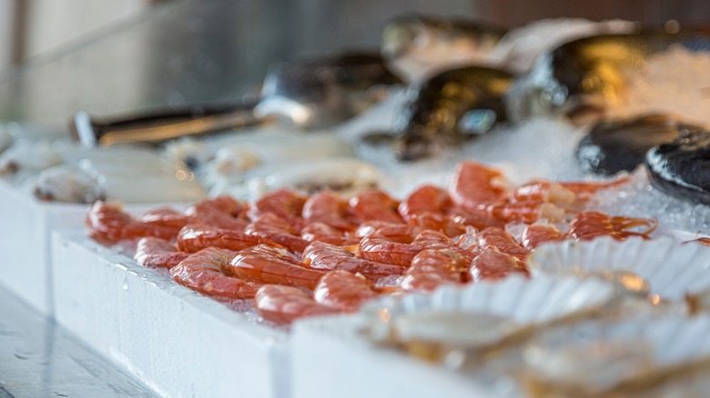 shrimp display at fishmonger