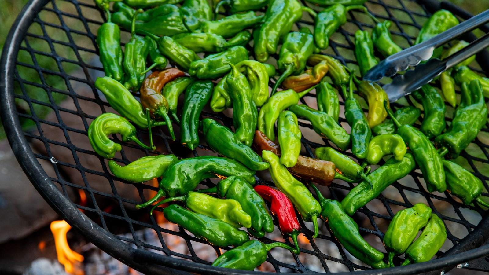 How To Cook Shishito Peppers For Perfect Seared Flavor