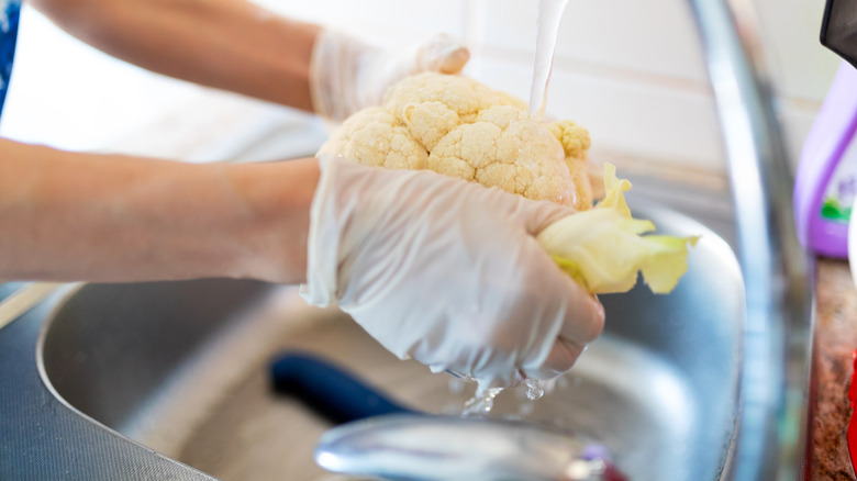 Person washing cauliflower in water