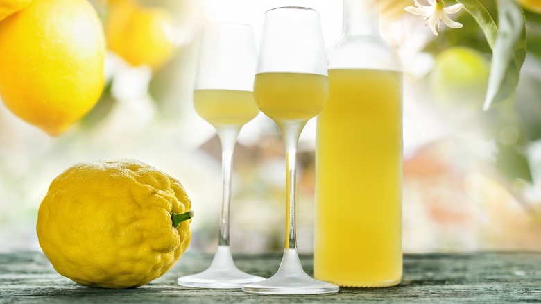 limoncello in cordial glasses with lemon