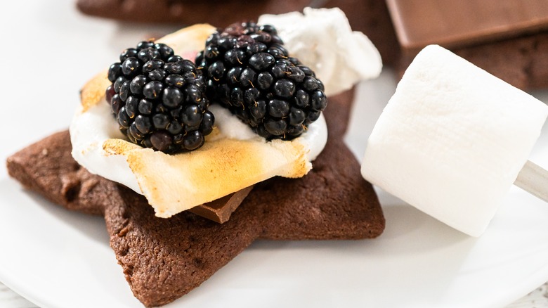 S'mores with chocolate star-shaped cookies and blackberries