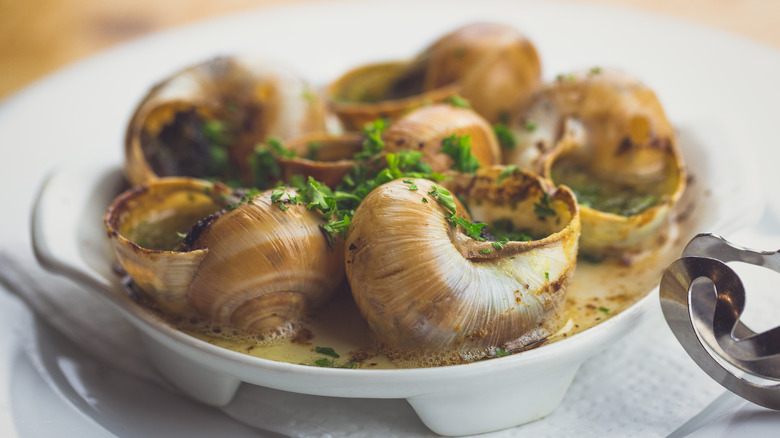 escargot cooked in the shell served in a dish