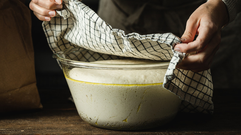 Dough proving in a bowl