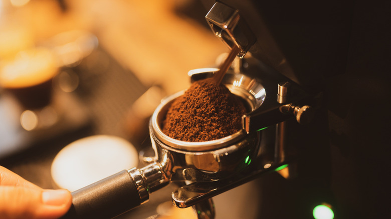 A barista grinding coffee beans for espresso.