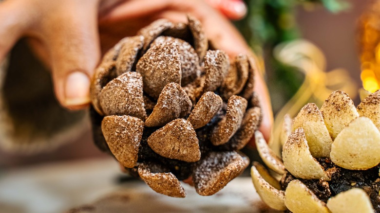 Hand holding an edible chocolate pinecone dessert