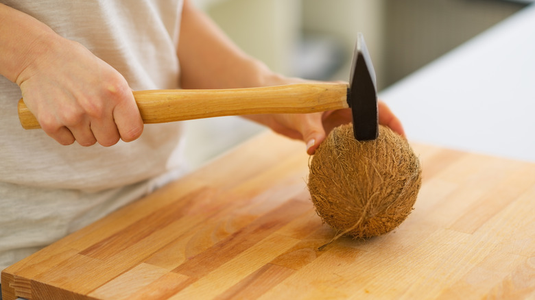 Opening coconut with a hammer