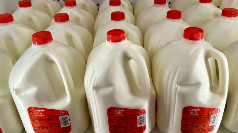 Gallons of milk in rows with red labels and caps