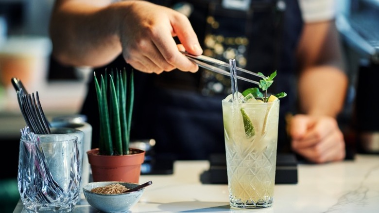 bartender preparing drink with herbs