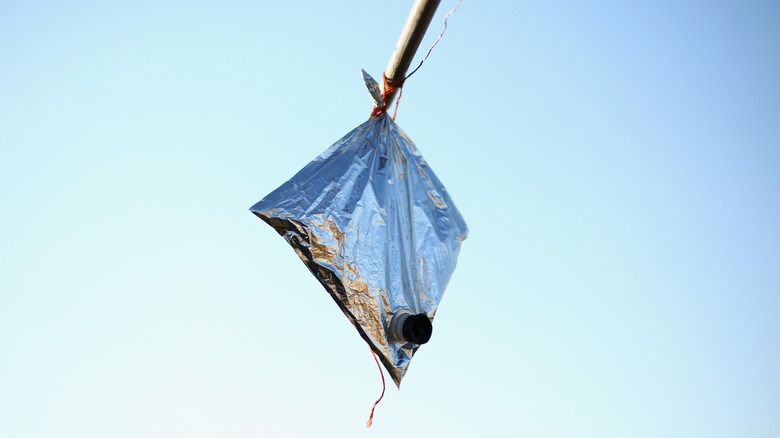 A goon hanging off a clothesline