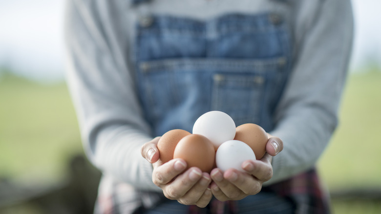 A farmer woman holding a handful of fresh chicken eggs