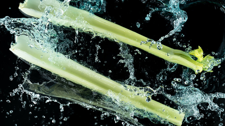 Celery sticks in water