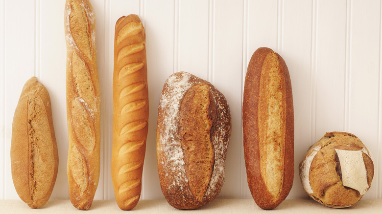 Bread loaves including baguettes and sourdough lined up against white wall