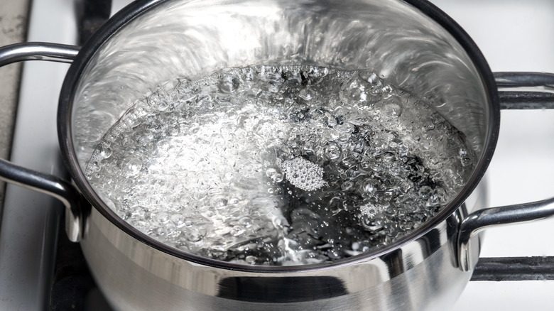 https://www.foodrepublic.com/img/gallery/how-to-speed-up-boiling-water-on-the-stove-with-just-a-pan/intro-1689099808.jpg
