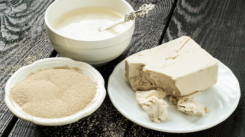 block and powdered and yeast on plates