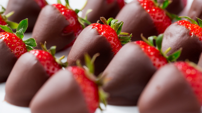 Chocolate-covered strawberries in rows