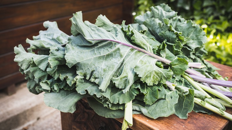 Collard greens on a table