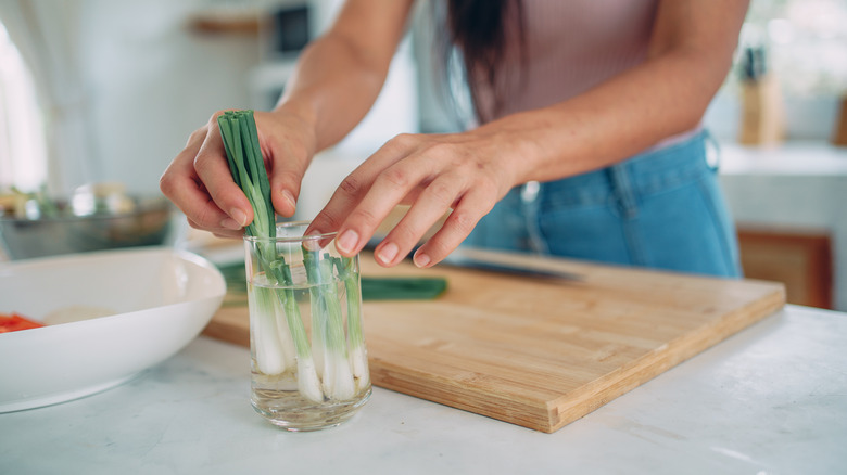 woman putting green onions in glass jar with water