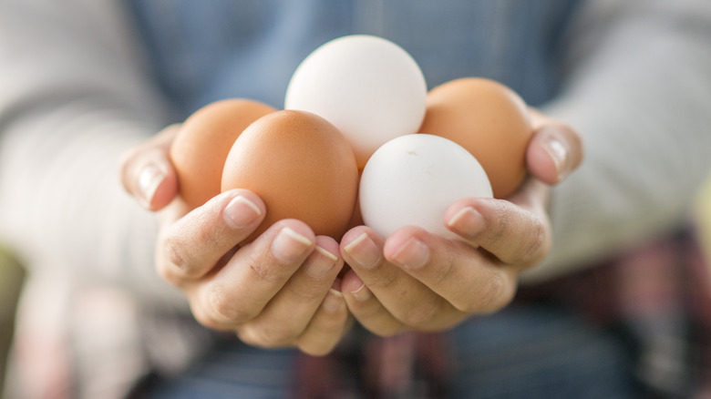 Hands cradling a pile of white and brown eggs
