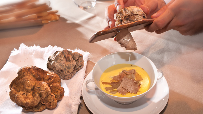 shaving truffle onto restaurant dish