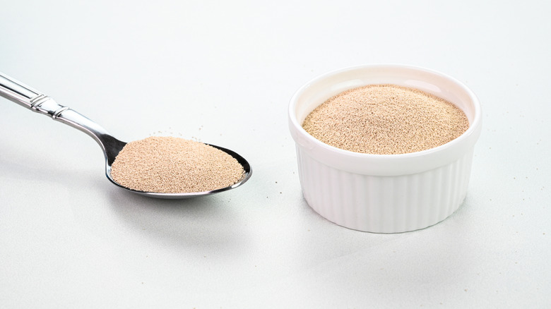 A white ramekin of granulated yeast is next to a silver spoon also containing yeast.