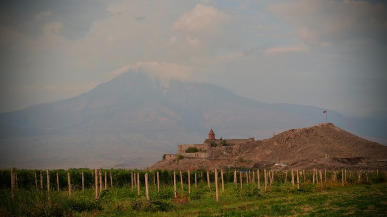 Mt. Ararat and vineyard