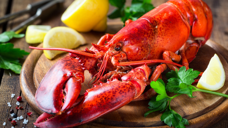 cooked whole lobster on cutting board