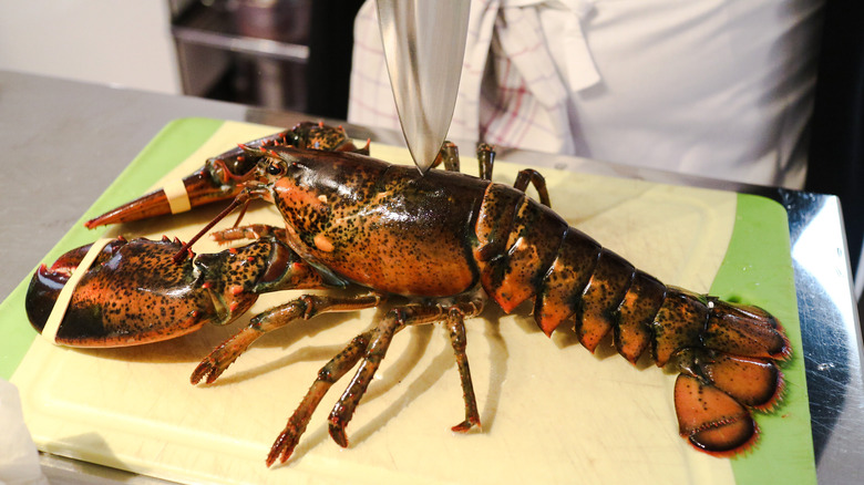 live lobster on cutting board with chef's knife