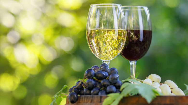 Glass of red and white wine with grapes