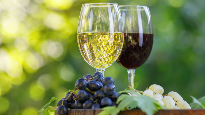 Glass of red wine and white wine with grapes on a barrel in a garden