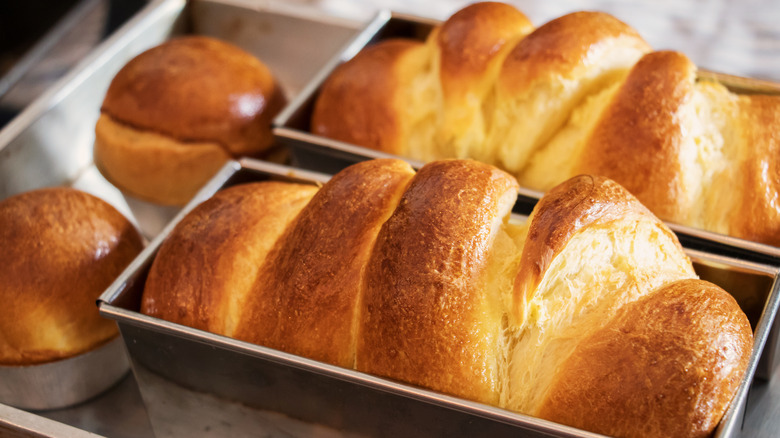 Fresh baked brioche bread loaves and rolls in metal pans