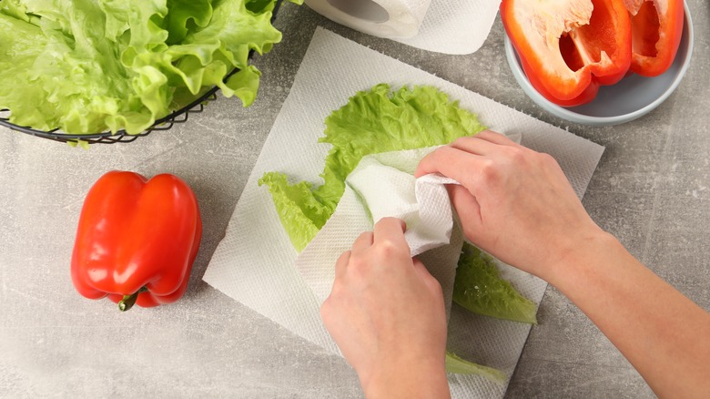 Patting down lettuce with paper towel