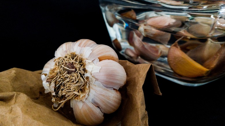 garlic bulb and cloves in water 