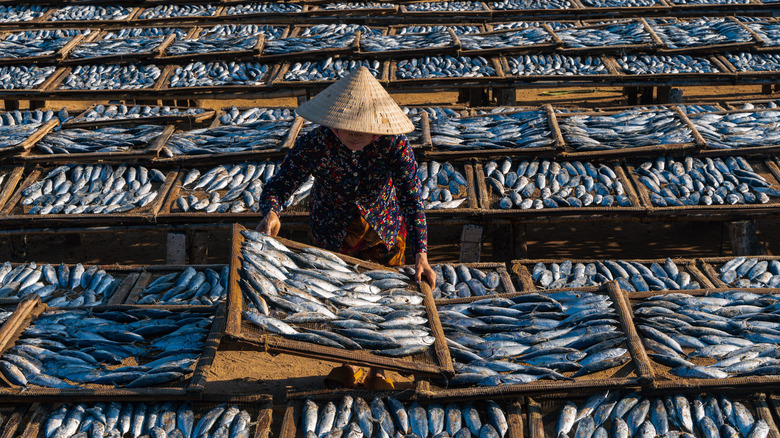 Woman arranging fish