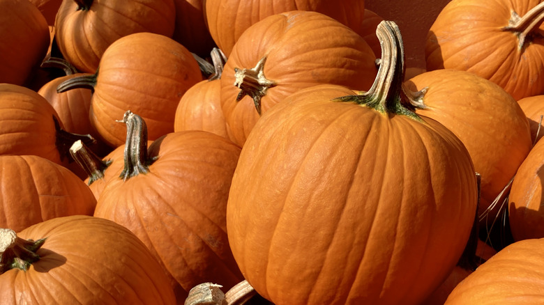 a pile of pumpkins