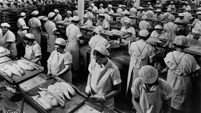 Workers in a plant prepare fish for canning.