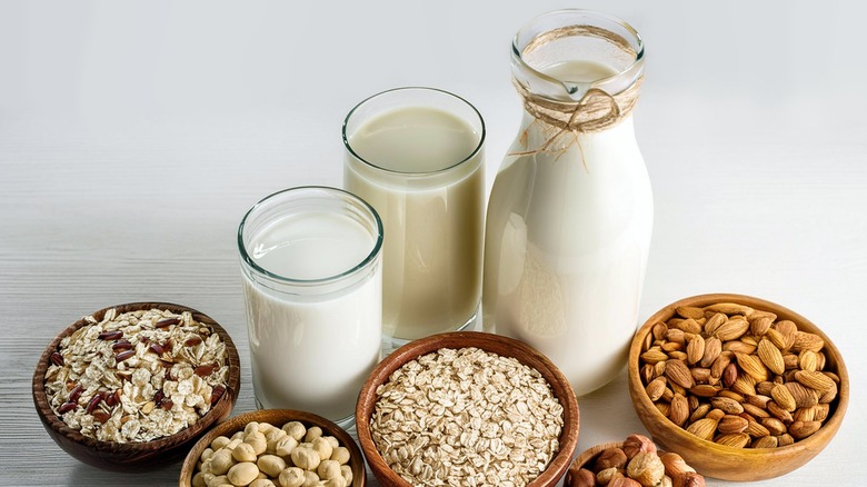 glasses of non-dairy milk surrounded by bowls of oats and nuts