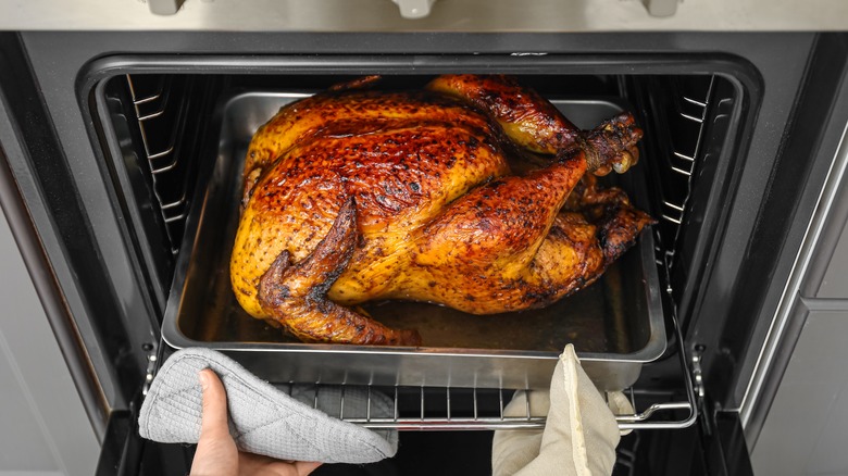 Pulling roasted turkey from the oven