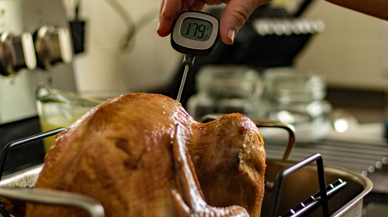 Checking temperature of turkey